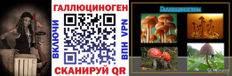 Галлюциногенные грибы GOLDEN TEACHER наркота hydra ССЫЛКА Кукмор